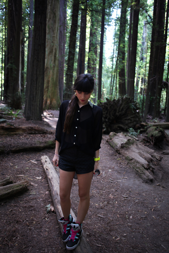 9501723604_0791e17f06_o